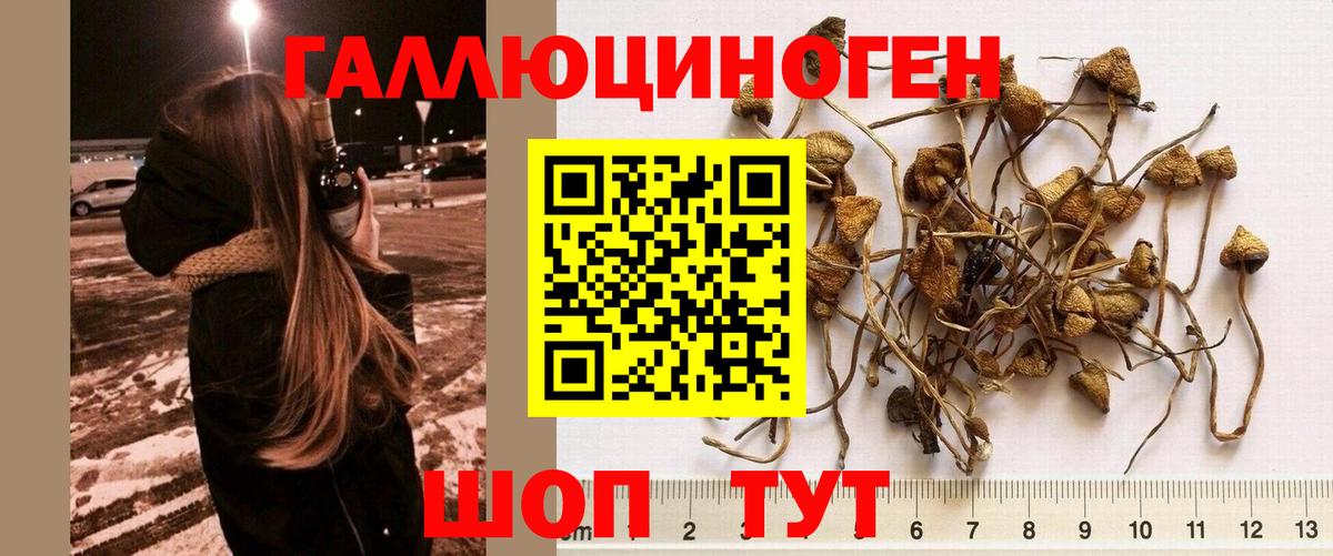 Отрадное  Галлюциногенные грибы ЛСД  Вход с VPN 