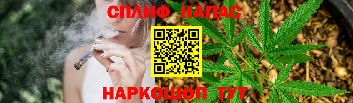 Бошки Шишки планчик  МАРИХУАНА планчик  Конопля Bruce Banner  Вход с VPN  Отрадное 